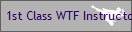 1st Class WTF Instructor