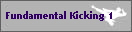 Fundamental Kicking 1