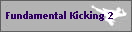 Fundamental Kicking 2