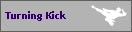 Turning Kick