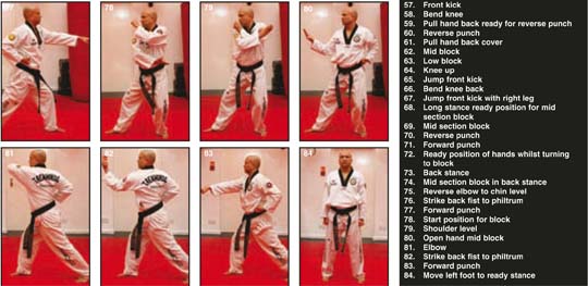 Combat june 2010 a8