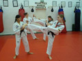 Tkd2