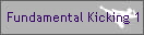 Fundamental Kicking 1