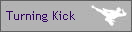 Turning Kick