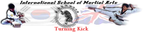 Turning Kick