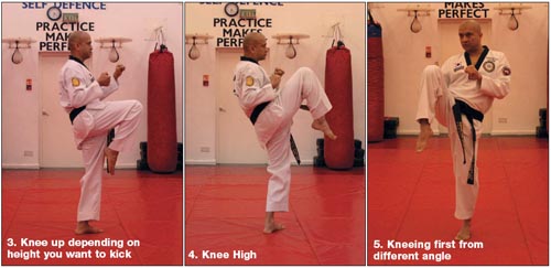 front kick 2 front kick 2